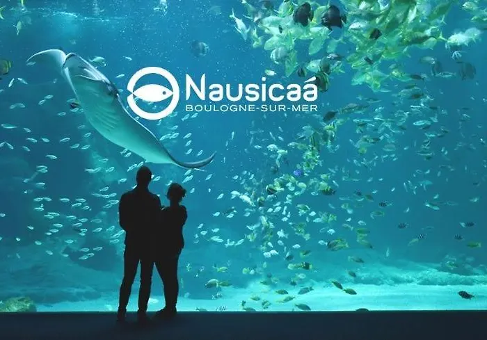 Appartement Vue Cathedrale - Au Coeur De La Vieille - Place De Parking Prive Boulogne-sur-Mer