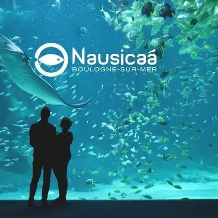 Appartement Vue Cathédrale - Au Cœur De La Vieille Boulogne-sur-Mer